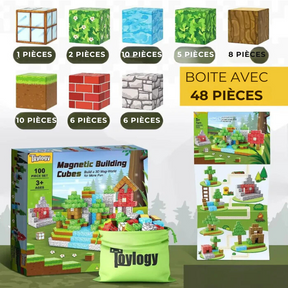 Blocs de construction magnétiques Minecraft® - 48 / 64 / 75 pièces
