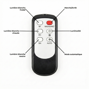 Jetta Veilleuse Prise avec Capteur Crépusculaire – AutoLumi™